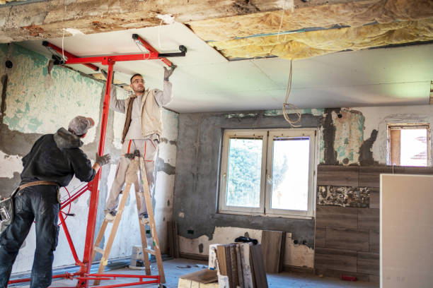 Best Cellulose Insulation in Olympia Heights, FL